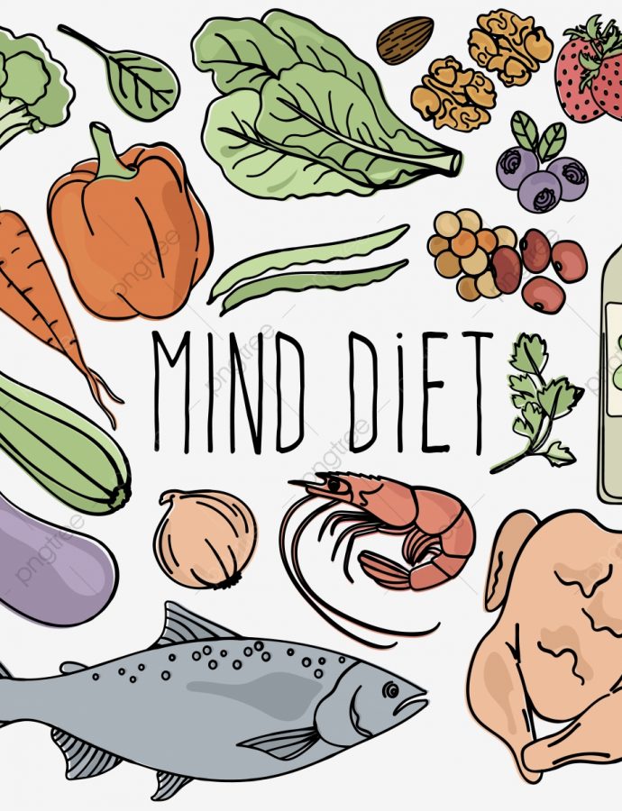 Nutrition during pregnancy