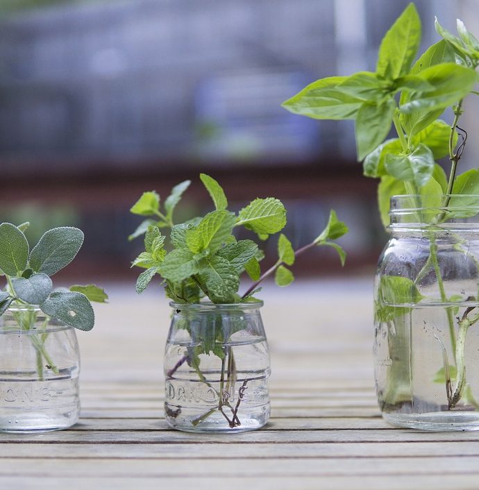 5 Tips to optimize your fridge organization